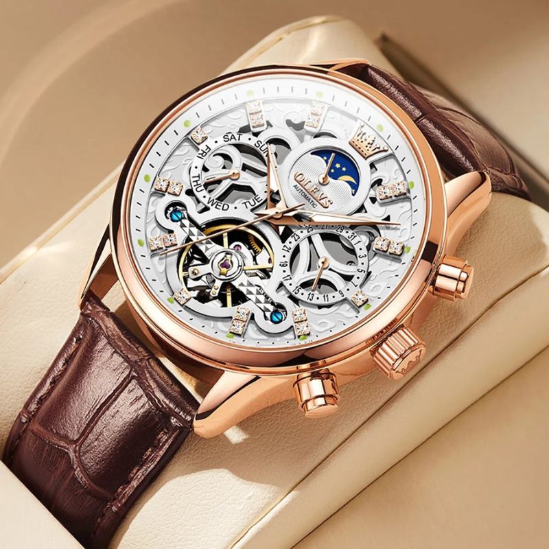 Elegant Automatic Mechanical Watch with Leather Strap